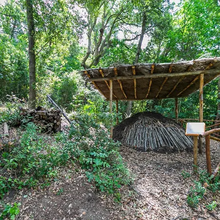 Holiday home Holiday Melograno By Interhome Castagneto Carducci
